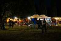 Afrikanisches Kulturfest Frankfurt am Main